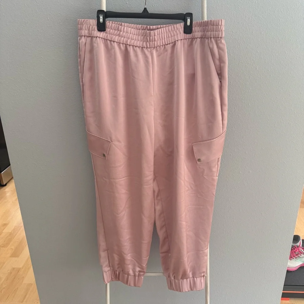 Express Cargo Style Pant - Picture 4 of 7